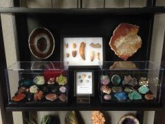fossils & geological cabinet of curiosity