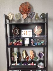 fossils & geological cabinet of curiosity
