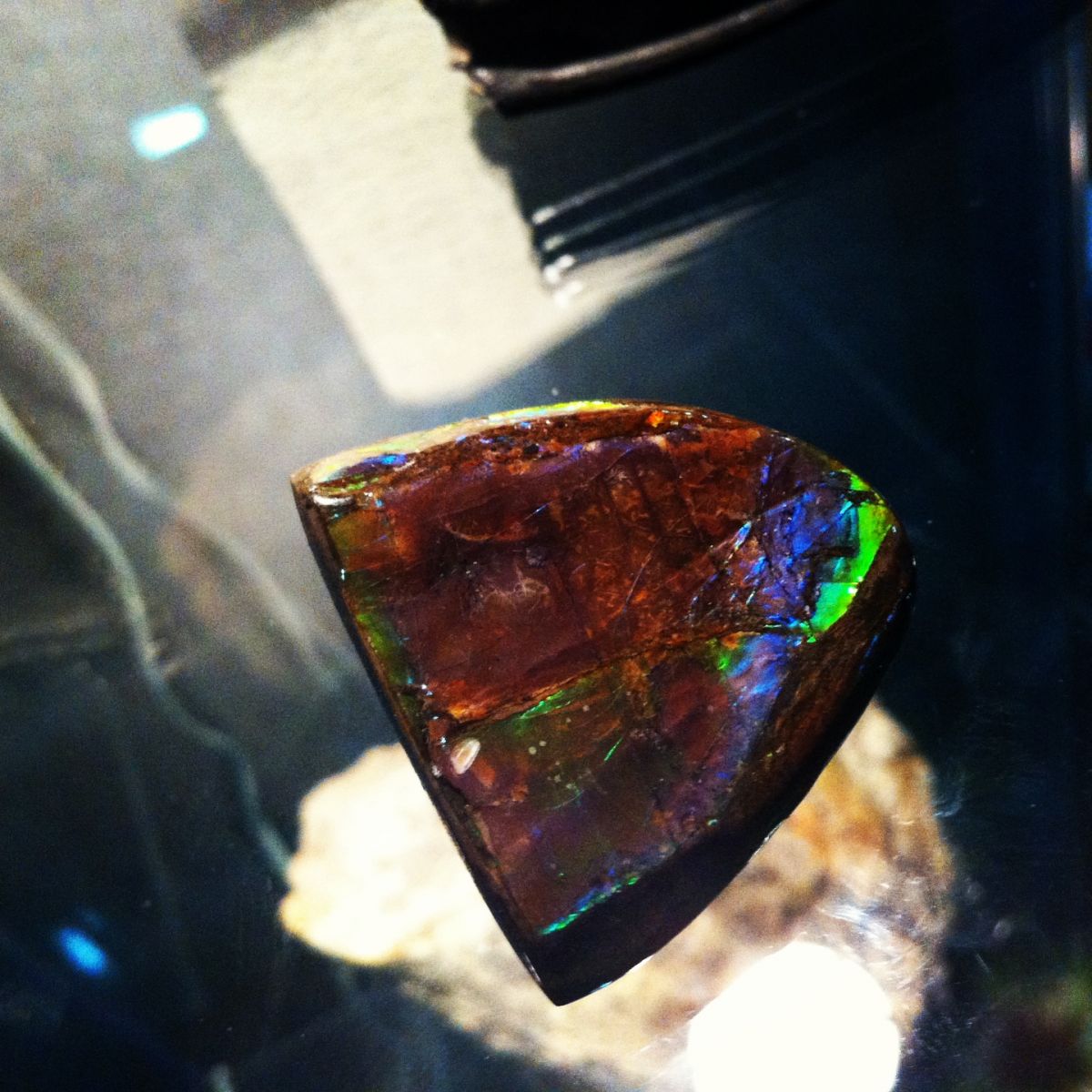 Ammolite (with Green/Blue and hint of Purple)