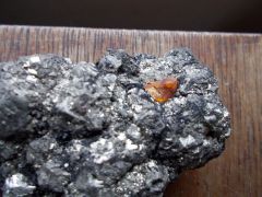 Sayreville Clay Mine Amber