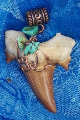 Shark Tooth in Copper & Turquoise