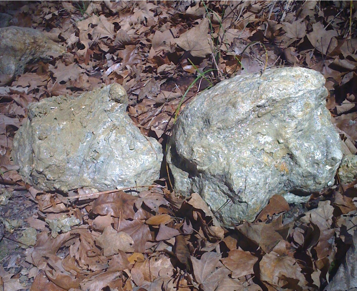 Don't think they are rocks...