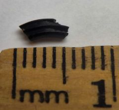 Vole Tooth #1, Pic B (Microtus sp.?)