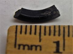 Rodent Incisor #2, Pic A