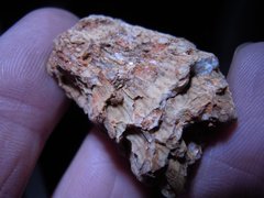 Coral Fossil Quartz Druzy Flint Stone From Central Missouri USA 18.8 Gr 1.jpg