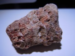Coral Fossil Quartz Druzy Flint Stone From Central Missouri USA 18.8 Gr 1.jpg