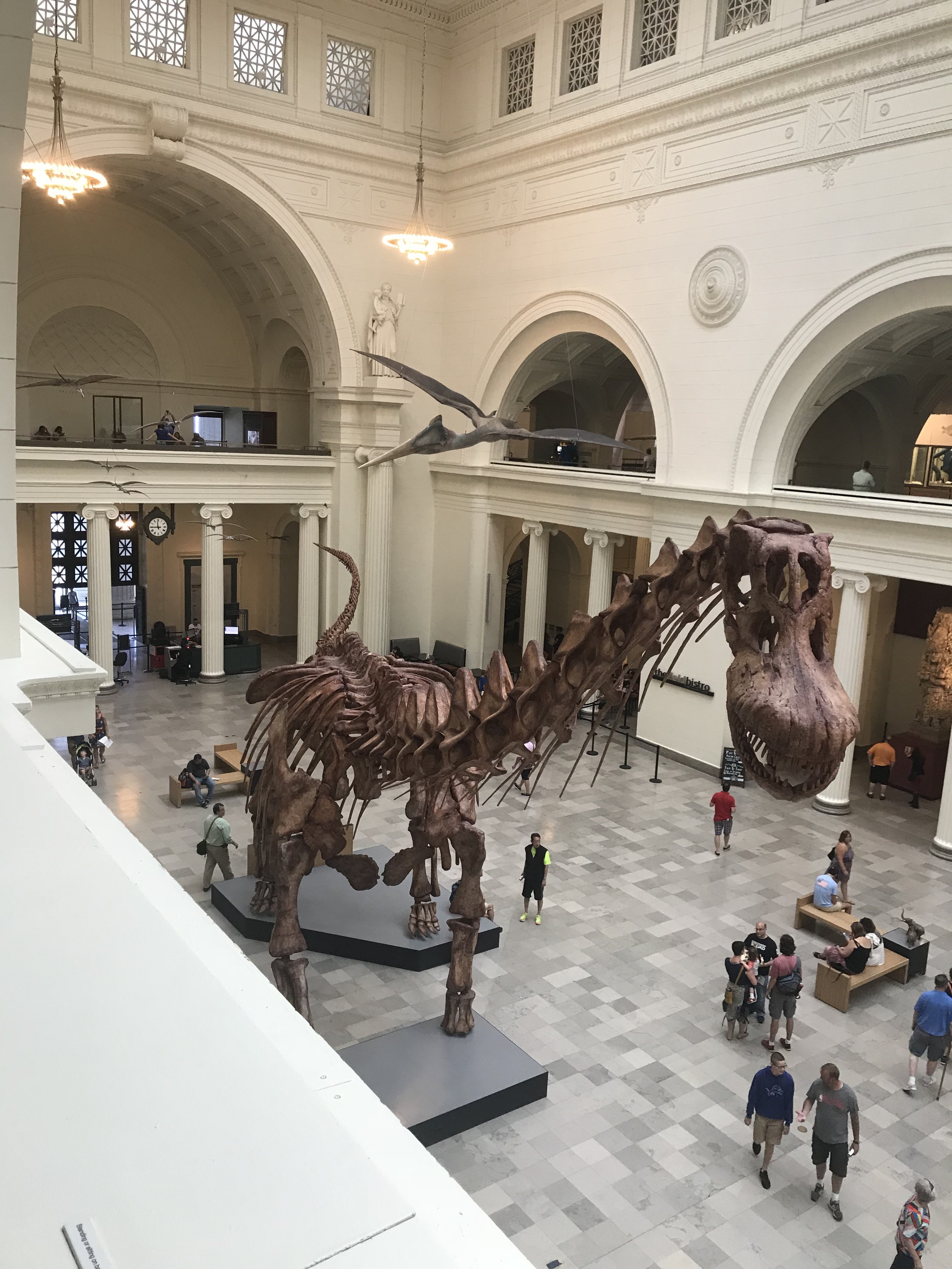 chicago museum of natural history