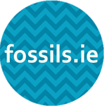 fossils.ie
