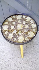 Ammonite table.