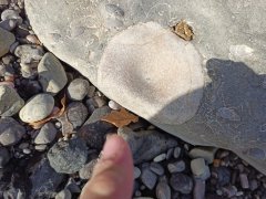 Vertebra in a rock