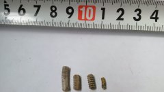 Ulyanovsk Pentacrinus stem fragments