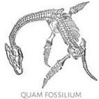 quam_fossilium