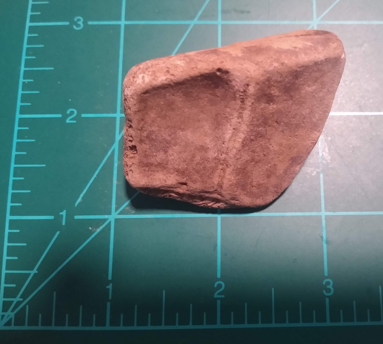 Turtle Shell Fragment--Front