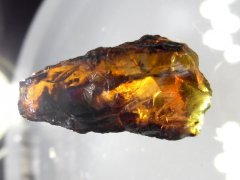 Wyoming Amber (Lance Creek Fm., ~69-66 Ma)