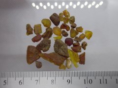 New Jersey Amber (Raritan Fm., Potomac Group, 93.9-89.8 Ma)
