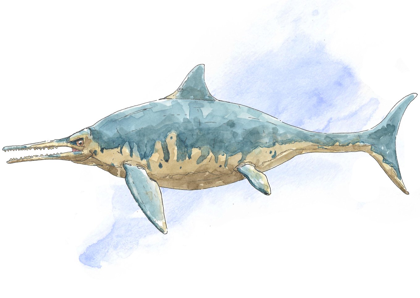 ichthyosaur 1.jpg