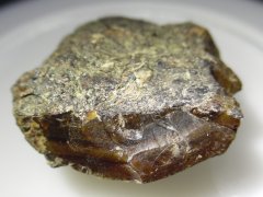 Golling Amber (Roßfeld Fm., 132.9-129.4 Ma)