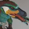 BirdsAreDinosaurs