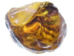 Alaskan Amber (Beluga Fm. [Kenai Group], ~11.6-5.3 Ma)