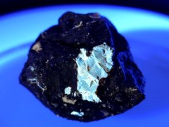 Ajkaite (Ajka Coal Fm./Csehbánya Fm., ~86.8-83.4 Ma)
