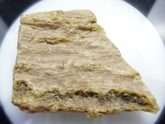 Costa Rican Copal "A" (Sandstone Deposits, Indeterminate Age [~2.58 Ma-Recent])