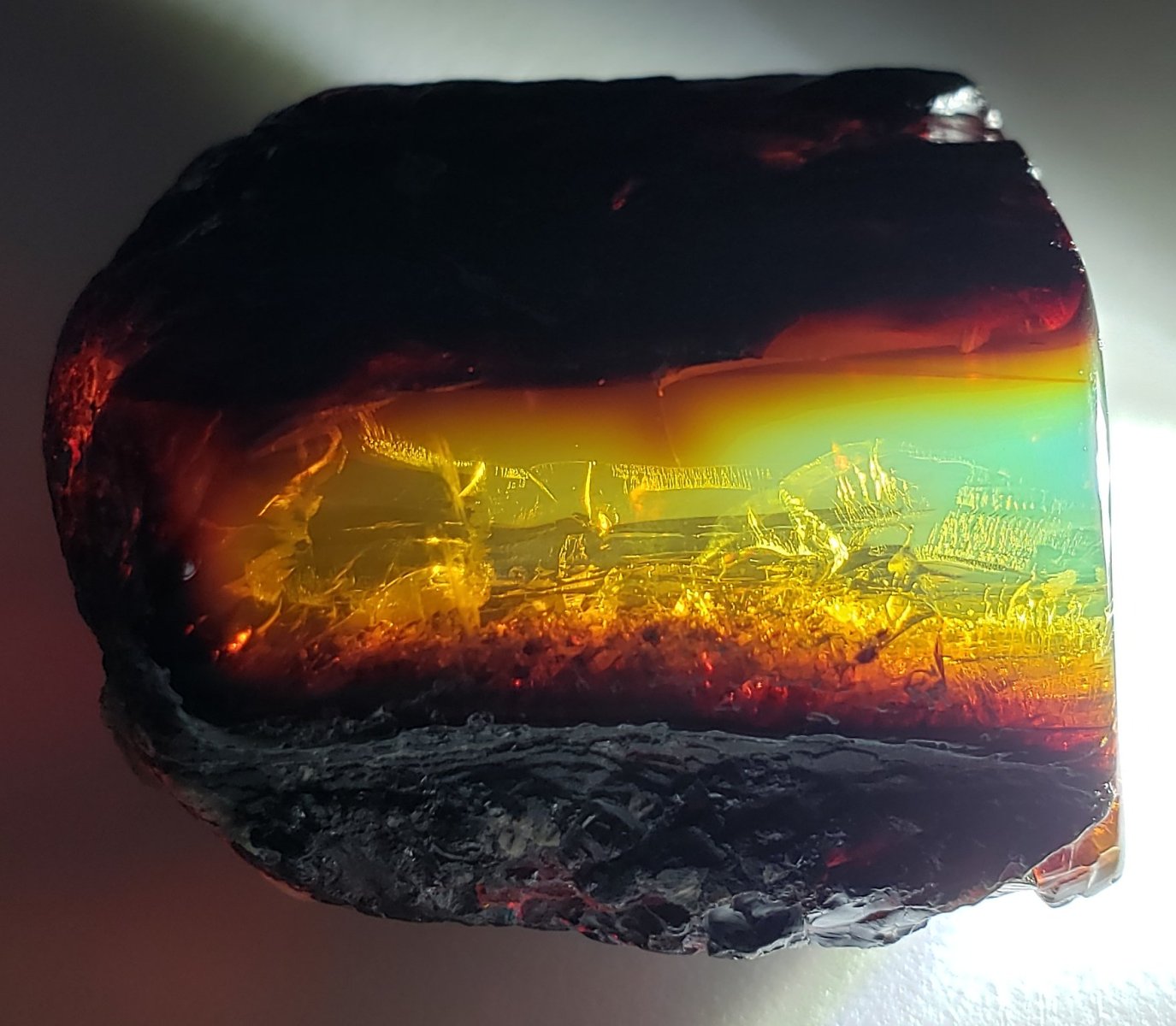 Fossil Amber and Copal: Worldwide Localities