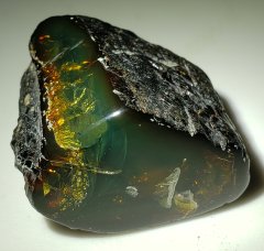 Chiapas Amber (La Quinta Fm./Mazantic Shale [Simojovel Group], 22.8-15 Ma)