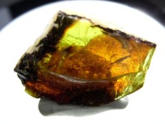 VIDEO: Ethiopian Amber ("Tertiary Sediments", 23-16 Ma)