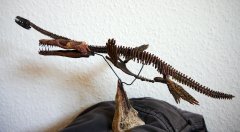 Plesiosaurid/Pliosaurid, body modified from Geoworld Plesiosaur, Plio-skull handmade.