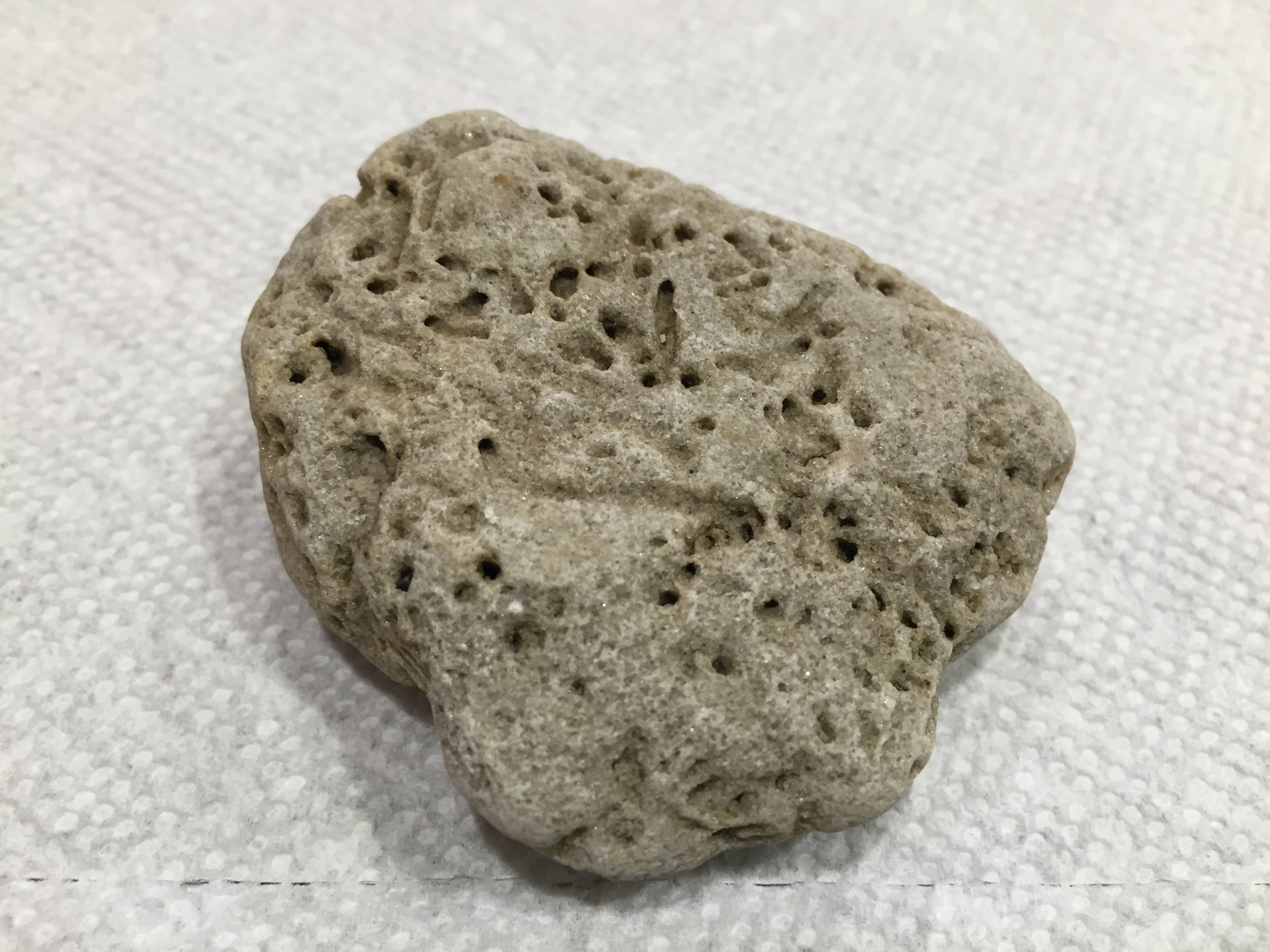 Spongy Rocks