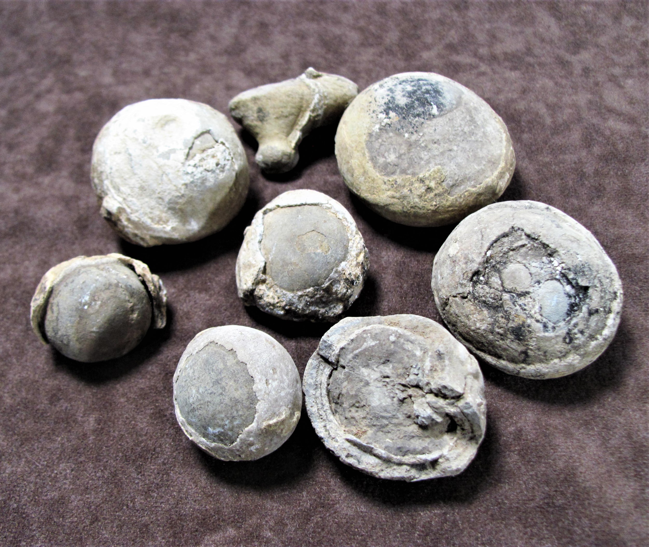 Concretion or Fossil Egg - Fossil ID - The Fossil Forum